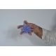 Etoile spécial extenseurs medium bleue
