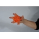 Etoile spécial extenseurs ferme orange