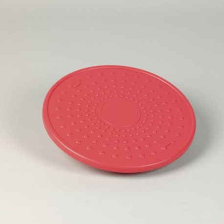 Disque d’équilibre