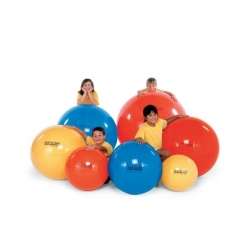 Ballon Physio Gymnic Rouge ø95cm
