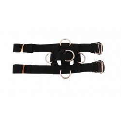 Sangle d'immobilisation et genou