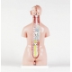 Torse unisexe