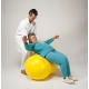Physio-Roll 55 Plus