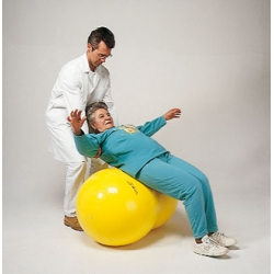 Physio-Roll 55 Plus