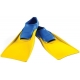 PAIRE DE PALMES A PIED