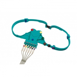 Ceinture d'électrodes Universelle Ceinture à sangles 6US