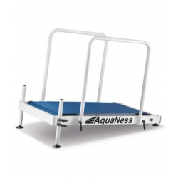 Tapis de marche Aquaness