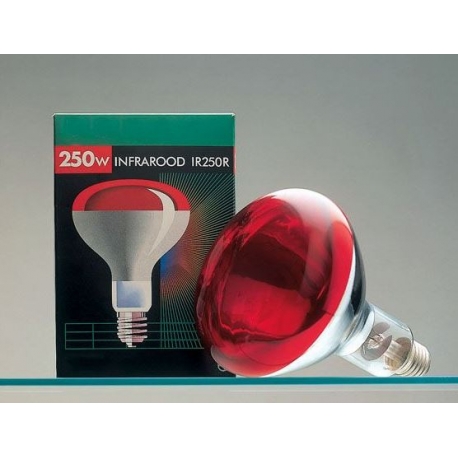 AMPOULE IR 250